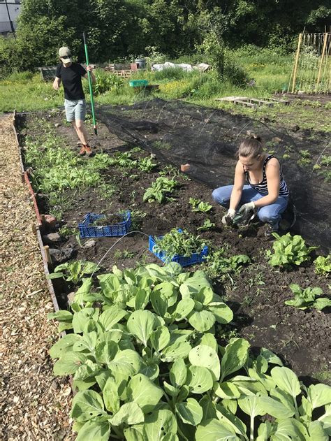 Food Works – Fair and sustainable food for Sheffield.